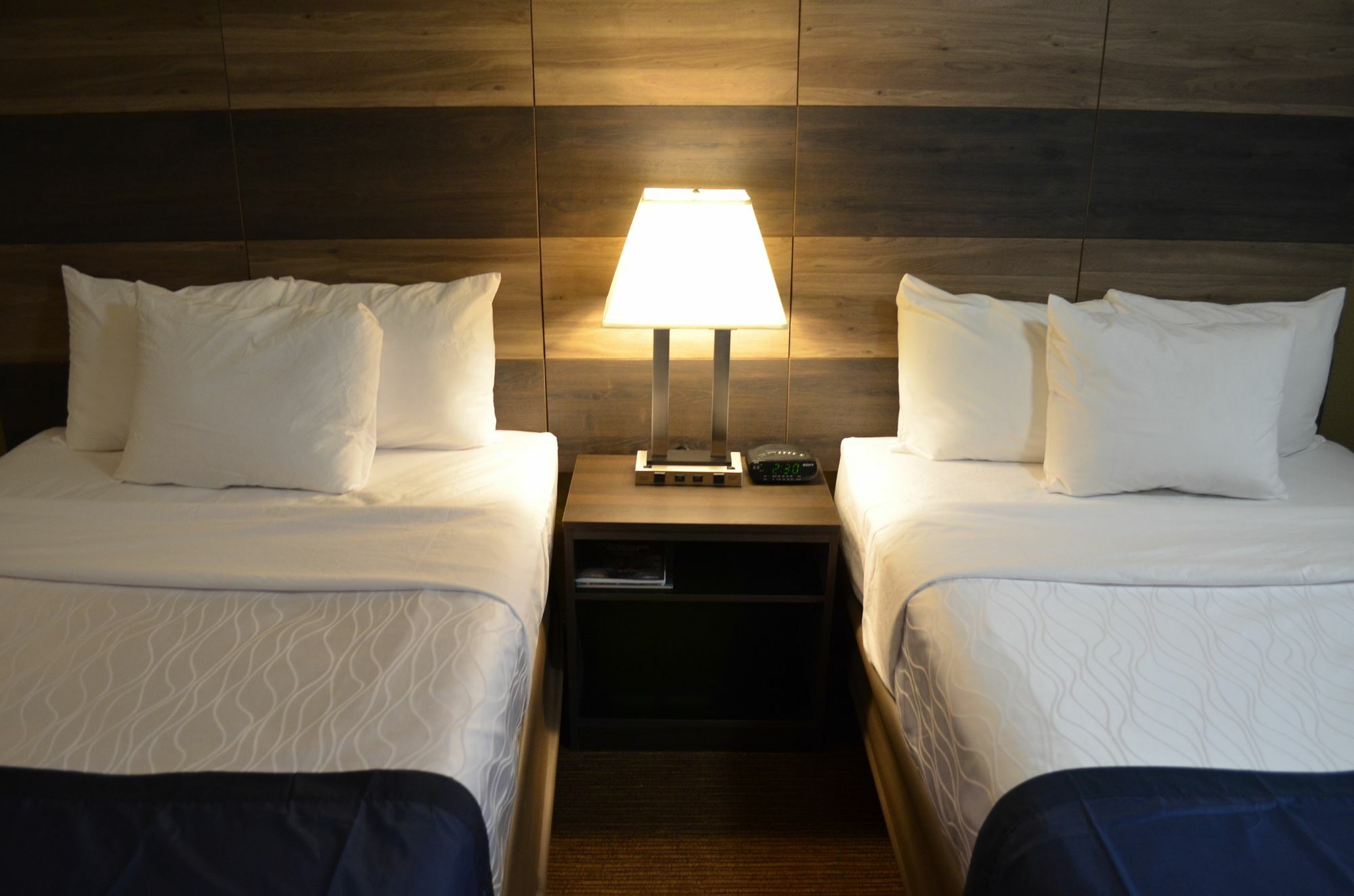 Hotel Baymont by Wyndham Downtown Detroit Zewnętrze zdjęcie